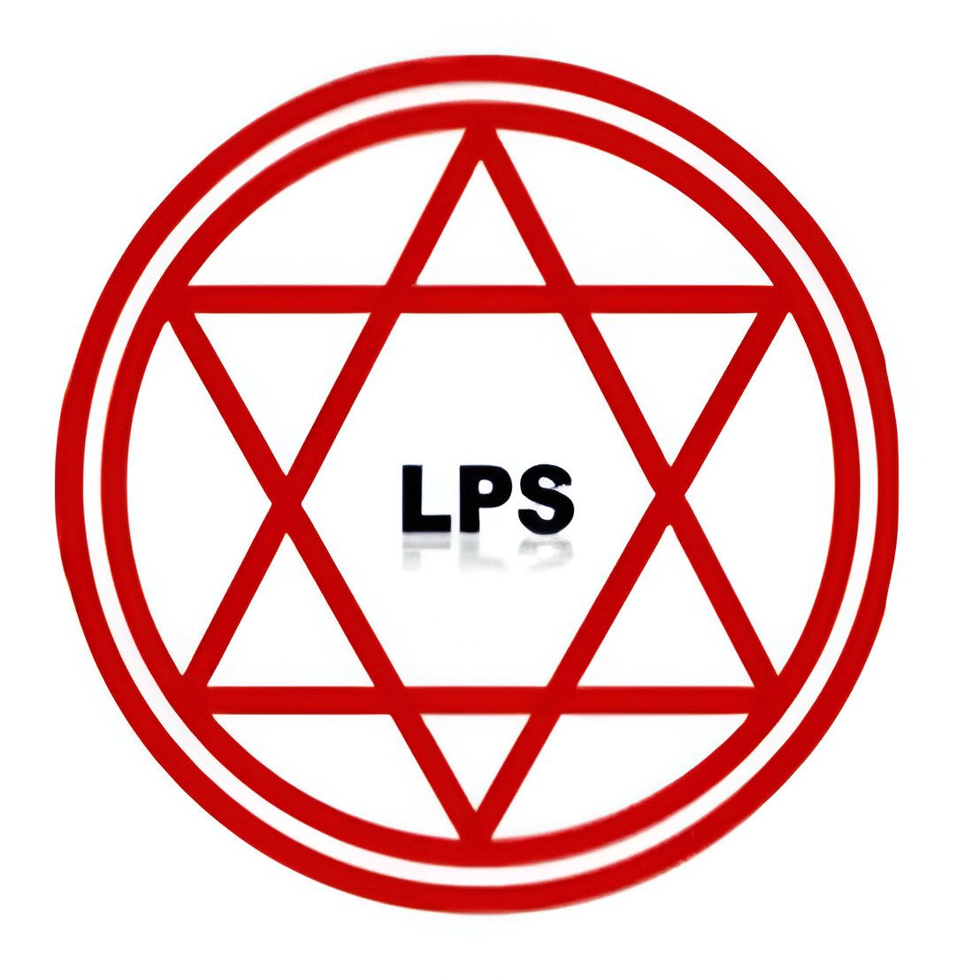 Laxmi Power Solutions Private Limited