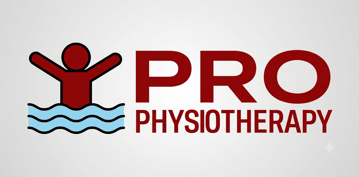 Pro Physiotherapy 